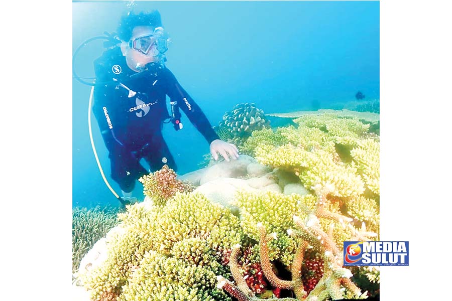 Kantongi Lisensi Selam, Sachrul Promosikan Potensi Bawah Laut Boltim