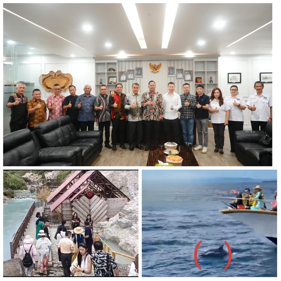 Wawali Sualang Sambut Sponsor Wisatawan, Turis Cina Sumringah Lihat Lumba-lumba di Manado.