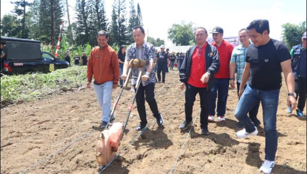 Sosialisasi Program Manjo  Ba Tanam Terus Digencar  