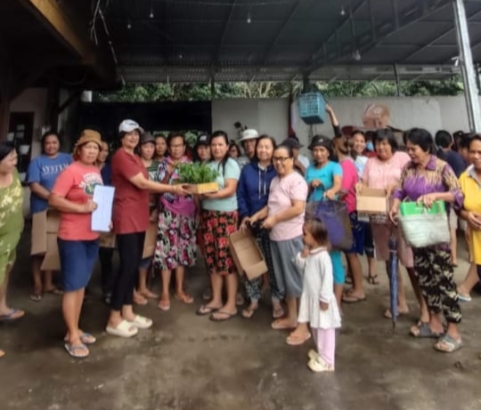 Program Ketahan Pangan, Pemdes Beringin Salurkan 6400 Bibit Rica Kepada Warga