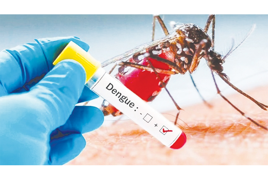 Koleksi 27 Kasus, DBD  Hantui Warga Mitra