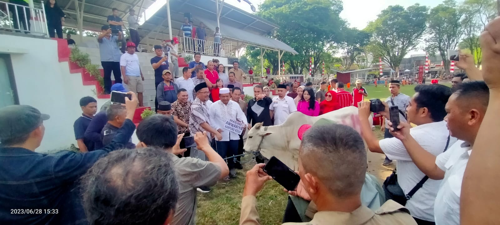Wawali Serahkan Bantuan Qurban Hewan Sapi Jelang Idul Adha