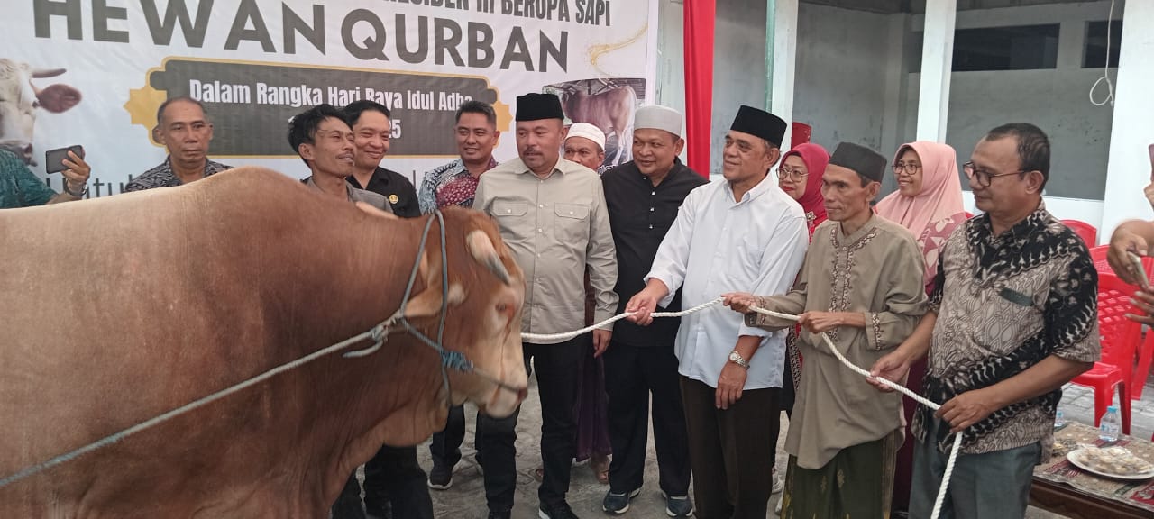 Bantuan Presiden RI,  Wawali Sualang Serahkan Sapi Qurban 961 Kilo Asal Perancis