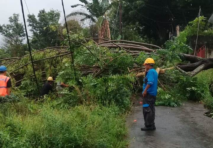Tim PLN Siaga Natal dan Tahun Baru Tangani Gangguan Listrik Akibat Cuaca Ekstrim di Sulut - Gorontalo