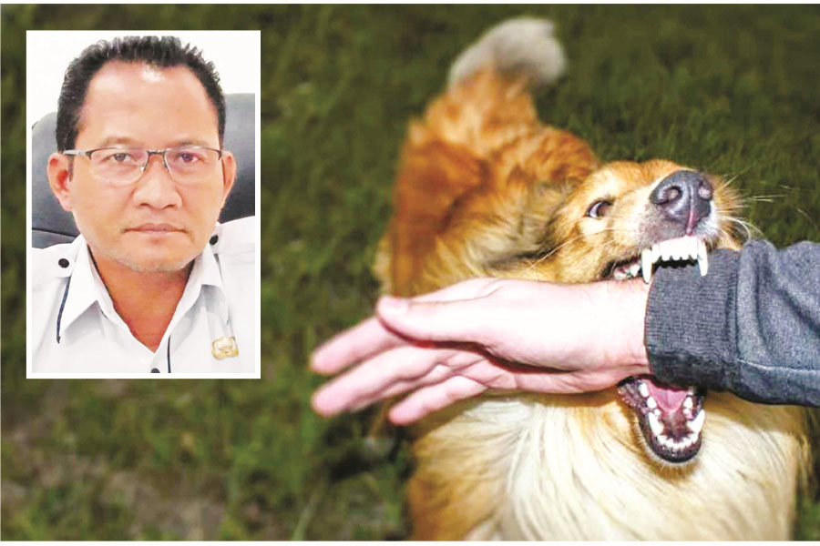 Hewan Rabies �Teror� Boltim