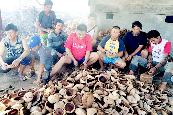 Olly Optimis Kopra Naik Dalam Tiga Bulan 