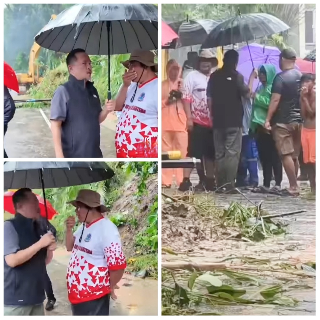 Disorot Legislator, Kadis LH : Itu Hak dan Urusan Tebang Pohon, Tak Tugas Kami
