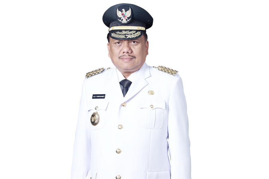 Olly Angkat Pamor Nyiur Melambai
