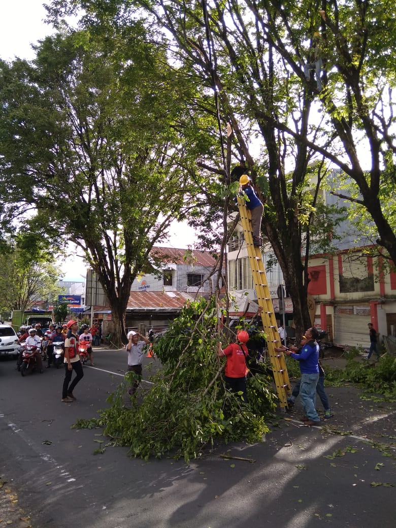 PLN UP3 Mapalus Pemangkasan