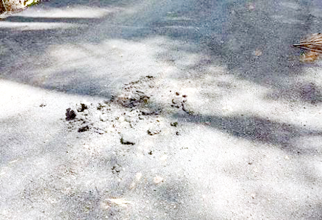 Polda-Kejati Diminta Periksa Proyek Jalan Pakuure-Tenga  