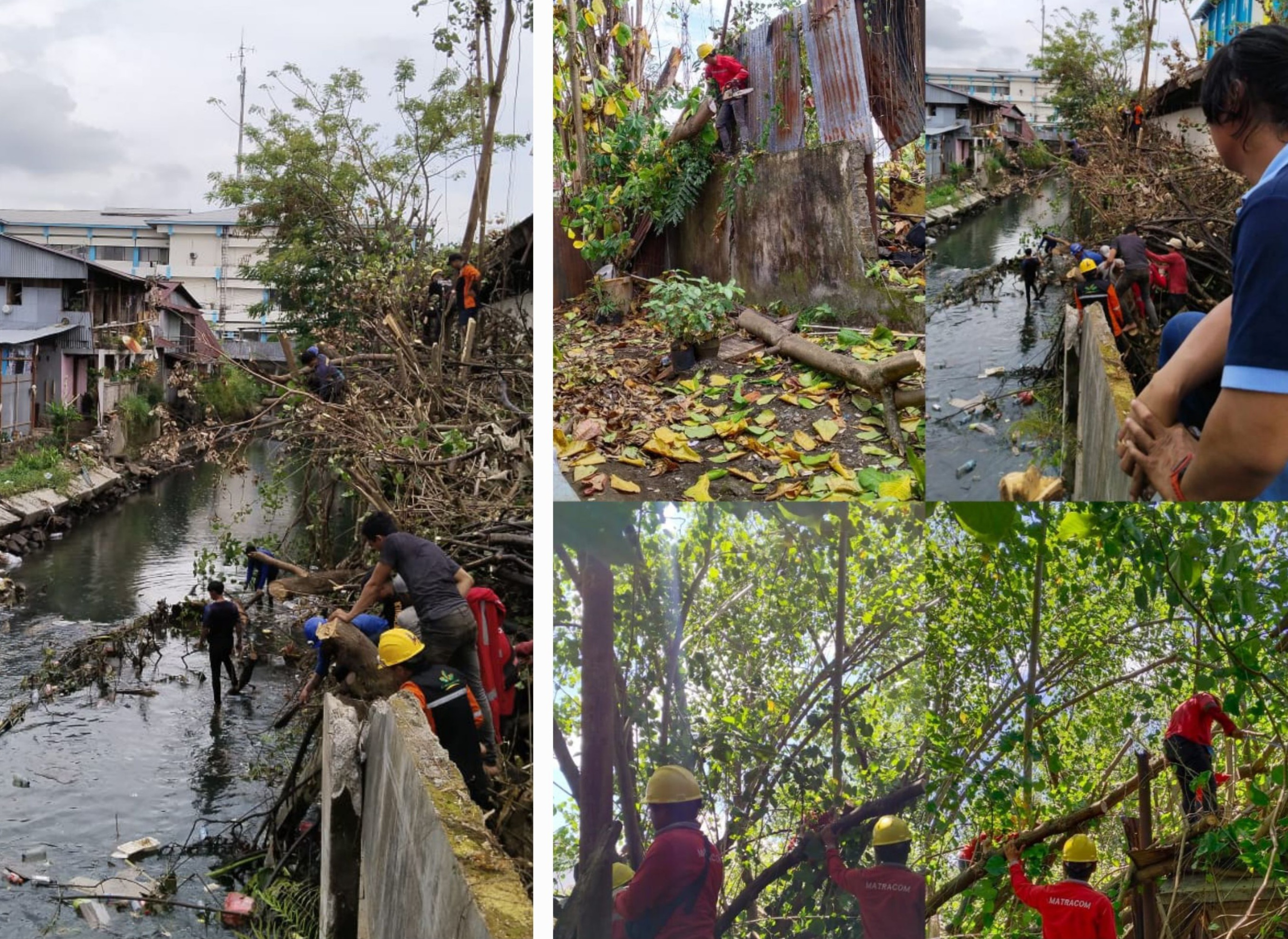 PLN UP3 Manado Gerak Cepat Atasi Pohon Tumbang di Jalur Sungai Sario