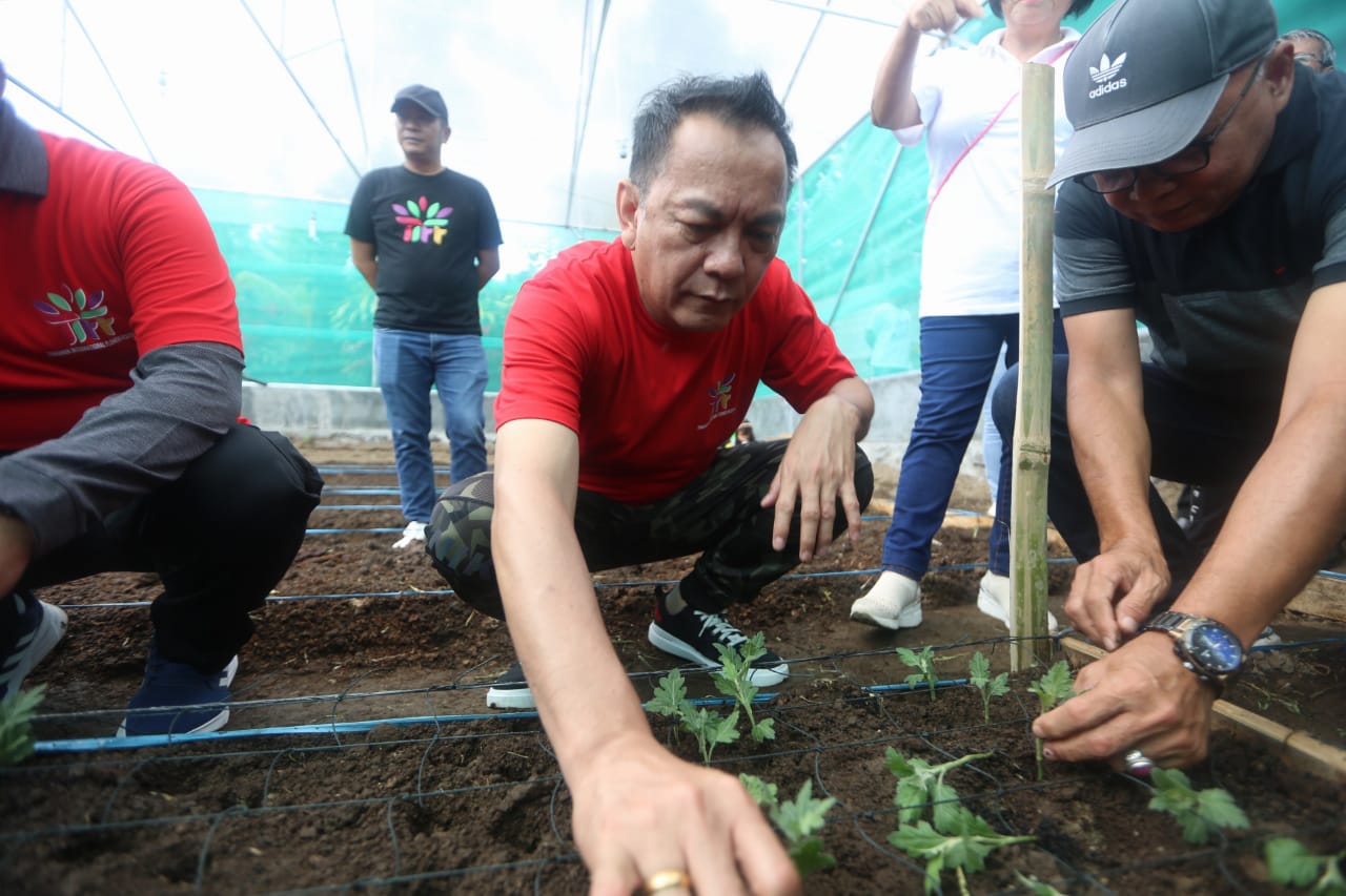 Ajak Forkopimda, Walikota Caroll Gandeng Asbindo Kembangkan Krisan