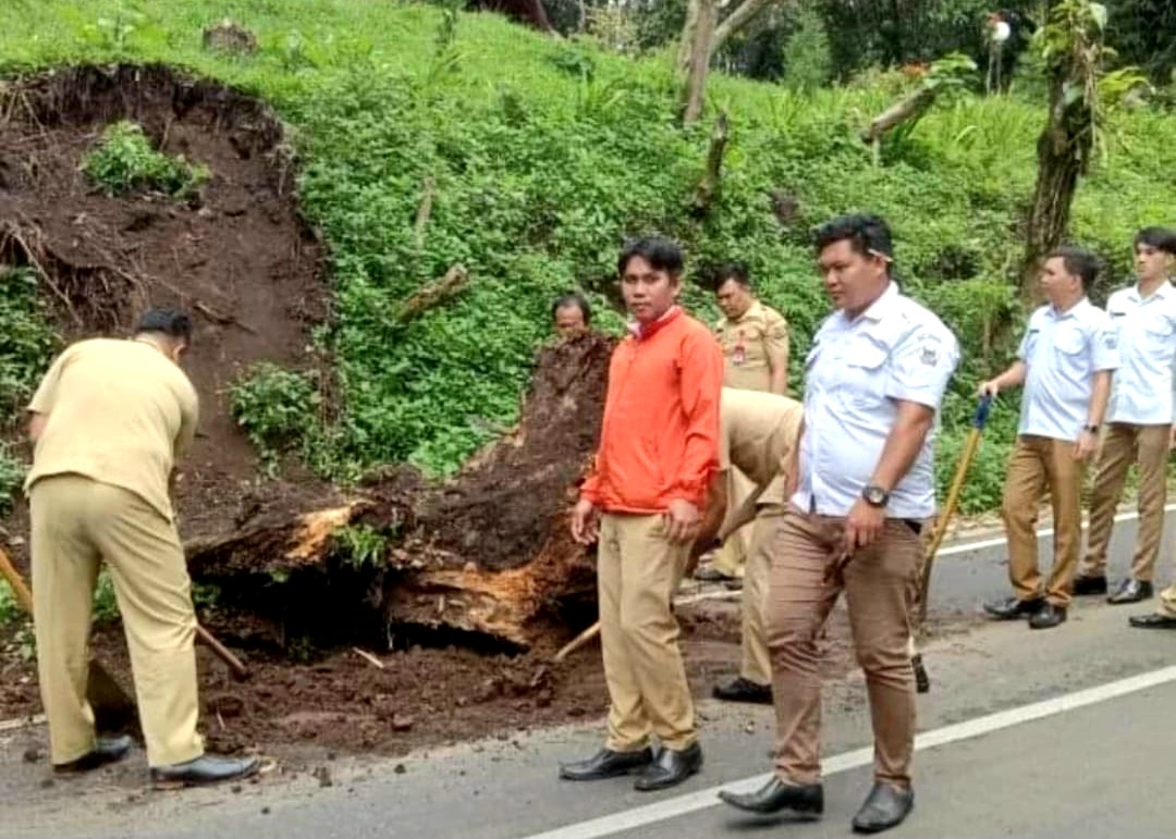 Antisipasi Pohon Rawan Tumbang,  Warga Apresiasi Kinerja BPBD Tomohon